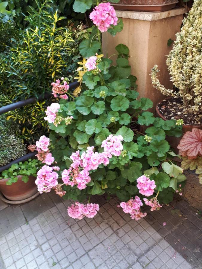 Tra Gianicolo E Trastevere 로마 외부 사진