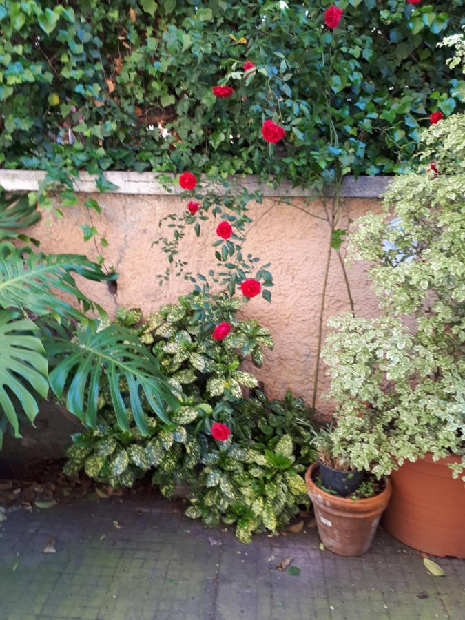 Tra Gianicolo E Trastevere 로마 외부 사진
